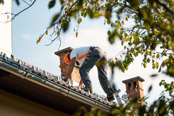 Best New Roof Installation  in Springville, UT