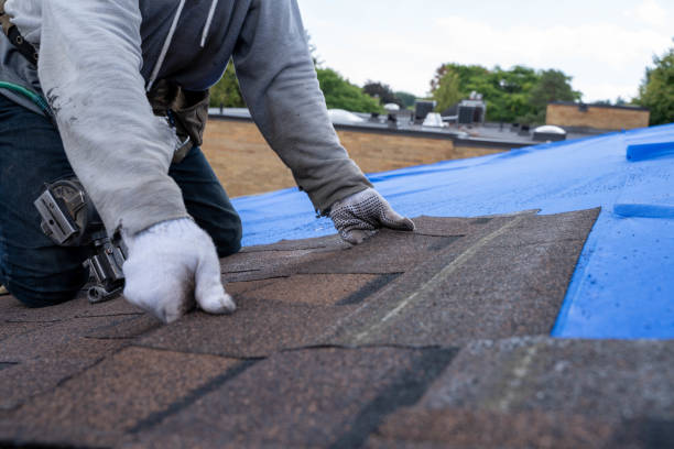 Best Roof Maintenance Services  in Springville, UT